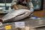 マグロ屋の社長がマグロ在庫の架空計上で粉飾!?その末路はこうだ!