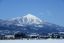 #東北でよかった〜東北の企業と取引して本当に良かった6つのこと